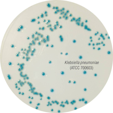 HiCrome ESBL Agar Base M1829